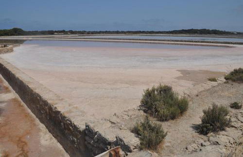 Apartaments S'Estanyol - Foto 66