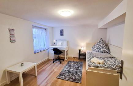 Luxuriöses Apartment im Zentrum von Nürnberg - Foto 7