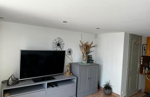 Gîte urbain au calme en rez de jardin proche Groupama stadium salle Arena EUREXPO Lyon - Foto 5