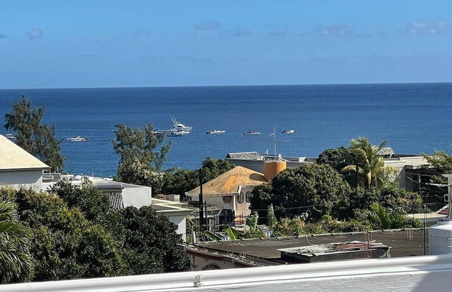 Spacious 4-bed Villa in Flic en Flac Roof top bar - Photo 39