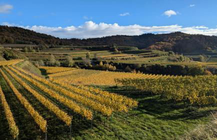Ferienwohnung Angie - Foto 31