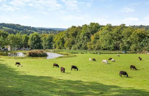 Shadi - Uk45069 - Foto 12