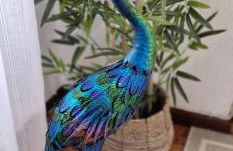 El Capricho de Ezcurdia - 6 pax - VUT-3878-AS - Foto 22