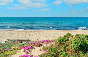 CASA VACANZE ARBORIAMAR SORSO SARDEGNa - Photo 2