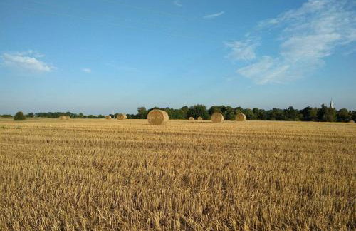 WCZASY NA PAGÓRKU - Foto 54