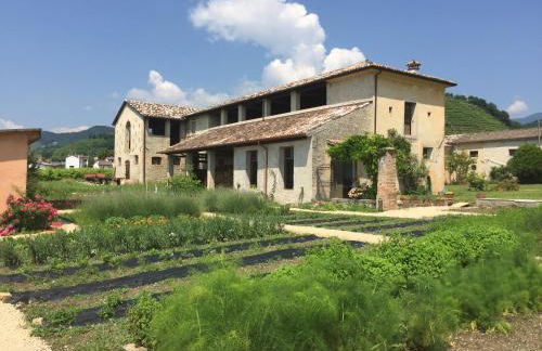 Fiori&vigne di Cecilia Marcon - Foto 38