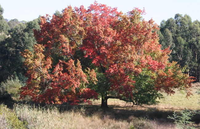 The Barn at Charlottes Hill - Photo 11