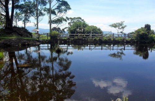 A Morada do Muriqui - Foto 33