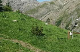 Pianeta Oro Apartments - Photo 76