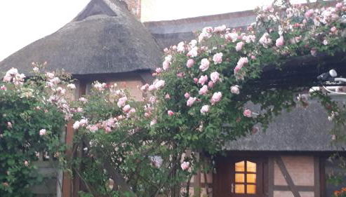 Boddenzauber - Foto 4