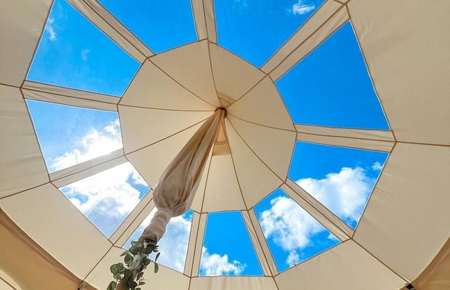 Erw Glas Glamping and Camping - Photo 49