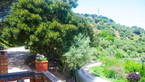 Agriturismo Fattoria di Grenne - Foto 2