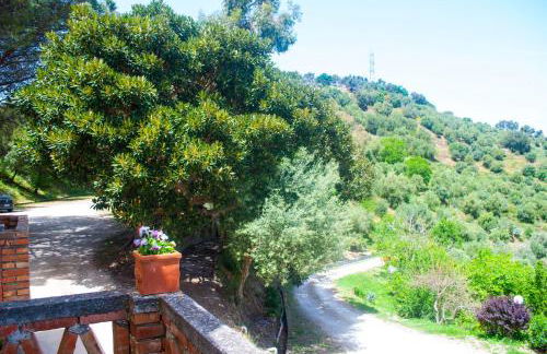 Agriturismo Fattoria di Grenne - Foto 2