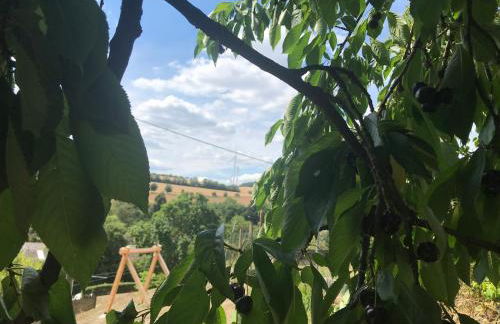 Luxe, landelijke vakantiewoning der alte Birnenbaum Duitsland-Sankt Wendel - Foto 34