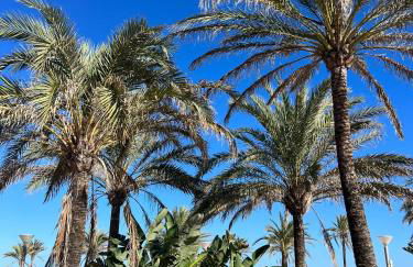 Apartamento Monika Playa y Grau - Photo 1