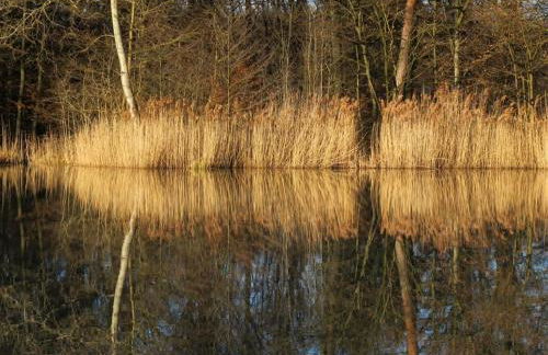 Landpension Wachtkopf - Foto 9