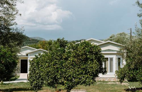 Oikies Verde - Foto 48