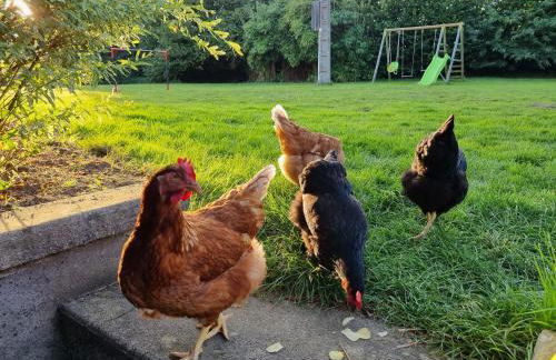 Gîtes Aux Quatre vents - Photo 5