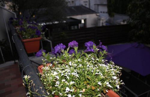 Champoiseau - Foto 20