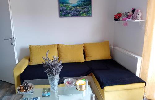 Apartmani Ani - Foto 16