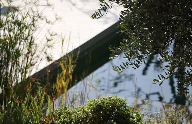 Orion Tree houses - Foto 38