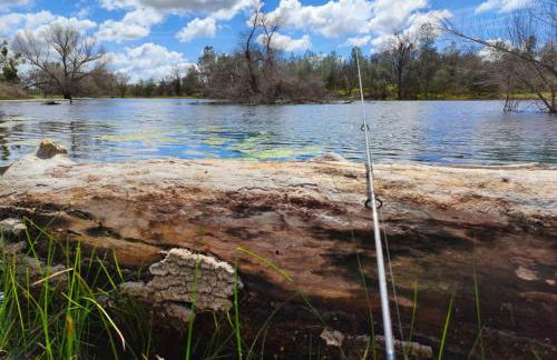 Rolling Oaks Ranch - 200 Acres of Lakeside Beauty & Countryside Serenity - Foto 4