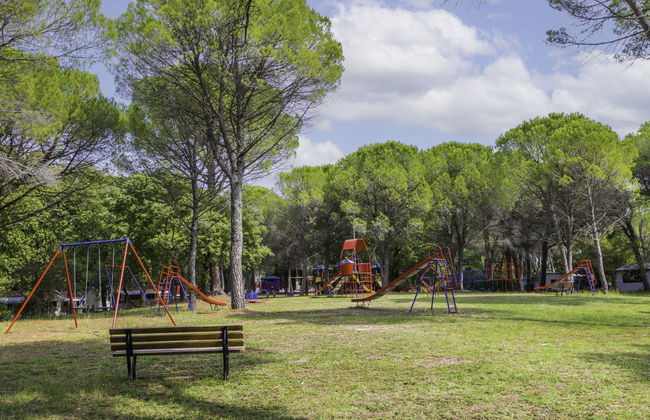 Adria Home (GDO203) - Foto 42