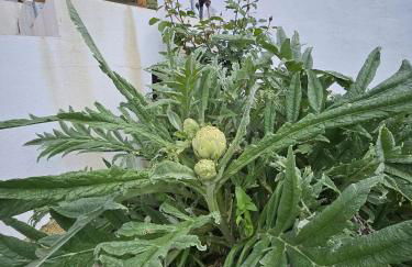 Charming House with Jacuzzi in Villanueva de Algaidas - Foto 17