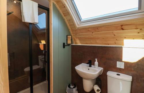 Woodpecker - Foto 13