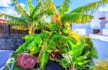 Villa Marina1 - Foto 21