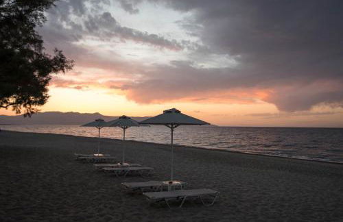 Electra Studios - Foto 15