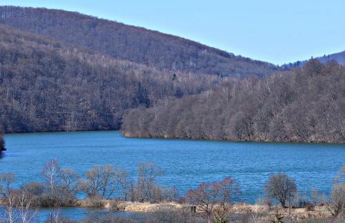 Apartament z tarasem i pokoje KLIMATYZOWANE -Drozdówka Solina - Foto 33