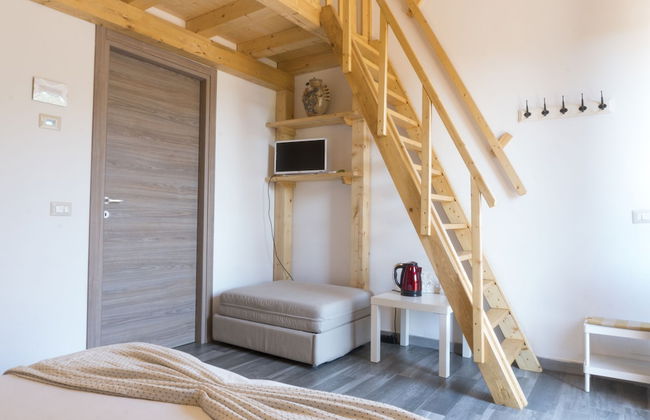 Viola nel Parco - Foto 16