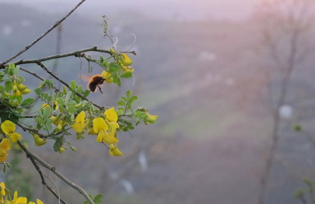 RSH Luxury Casale Sabina Valley - Foto 23