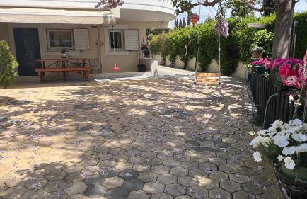 Iris-Gogo House - Photo 35