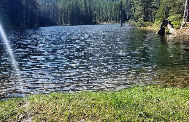 Apartment in Untertauern Near Ski Slopes - Foto 37