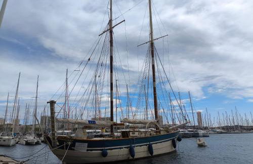 T2 climatisé à 500m de la plage sur la presqu'ile de Saint Mandrier sur Mer - Photo 28
