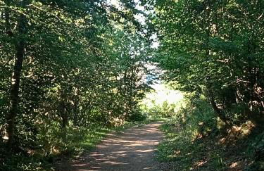 Casa La Puerta - Foto 21