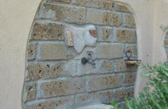 Azienda Agricola Biologica La Cardellina - Foto 23