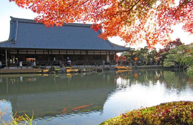 Tour completo por Kyoto com ingressos - Foto 6
