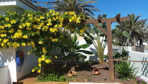 Casa Atlantico - nur einen Steinwurf vom Atlantik entfernt Ab Mai 2022 komplett neu renoviert - Foto 2, Garden