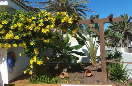 Casa Atlantico - nur einen Steinwurf vom Atlantik entfernt Ab Mai 2022 komplett neu renoviert - Foto 2