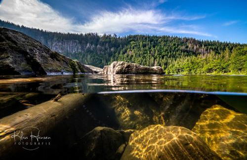 Ferienwohnung "Bergzeit" in Feldberg- Falkau - Foto 18