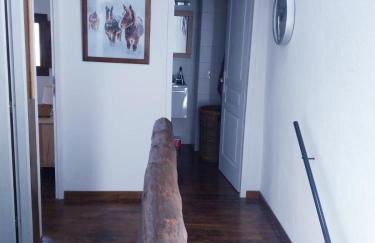 Cal Toni de Vilallobent - Foto 25