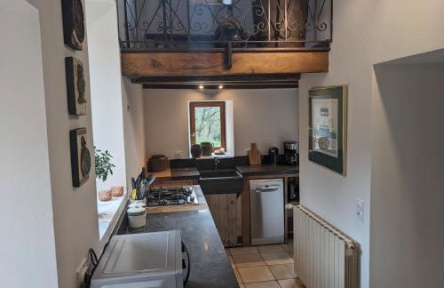 Manoir du Boscau, Louis IX - Foto 3