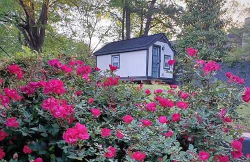 The Treasure House - Foto 13