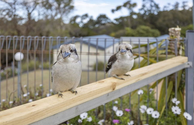 Metung Holiday Villas - Foto 73