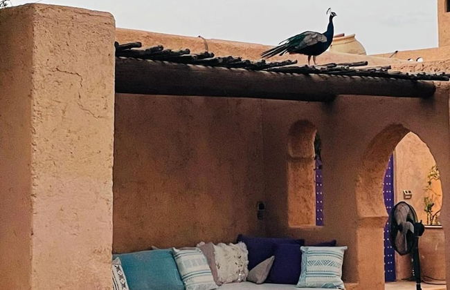 Marrakesh 6-bed Housing Authentic Berber - Foto 14