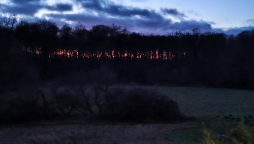 Chalets in nature Nedderhagen - Foto 4