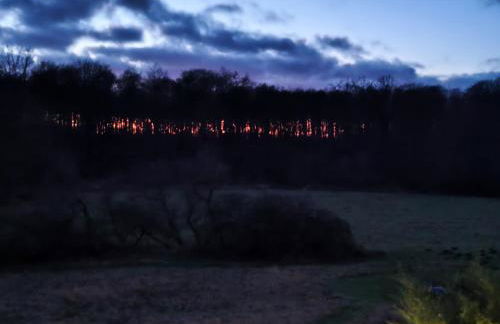 Chalets in nature Nedderhagen - Foto 4